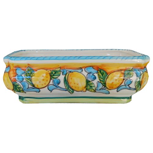 Planter for succulents & bonsai. Hand-painted Vietri...