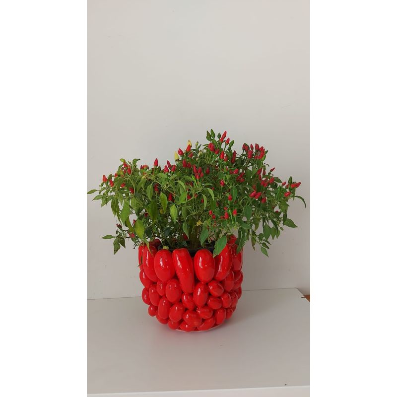 Pot flowerpot Relief vase in fine Vietri...