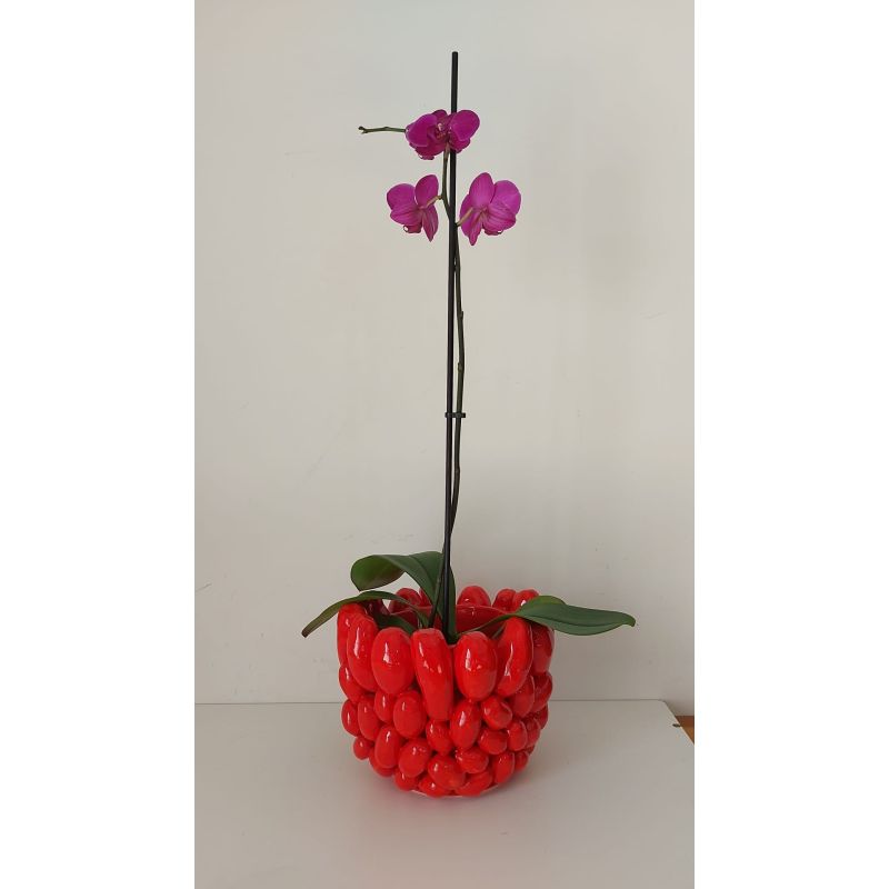 Pot flowerpot Relief vase in fine Vietri...