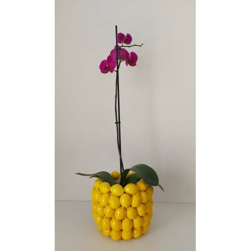 Pot flowerpot Relief vase in fine vietri ceramics -Lemons Line