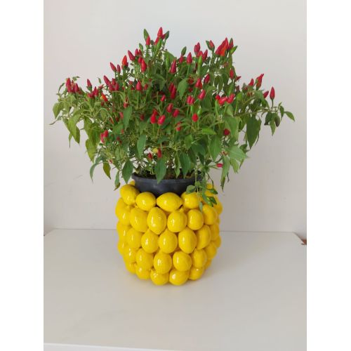 Vaso a rilievo in Ceramica finissima -Limoni Ceramica vietrese