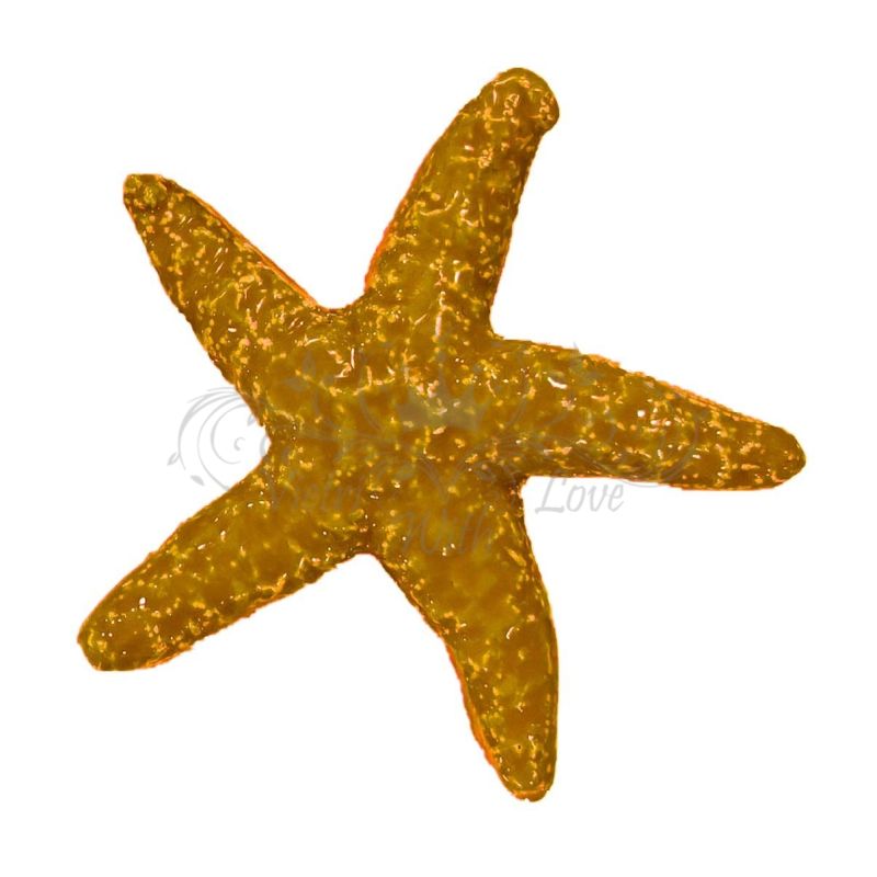 Estrella de mar de cerámica. Favor de fiesta....