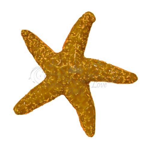 Estrella de mar de cerámica. Favor de fiesta. Idea de regalo Cerámica de Vietri pintada a mano.