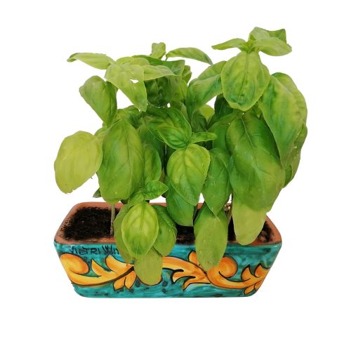 Mini rectangular planter. Baroque style. Vietri ceramic....