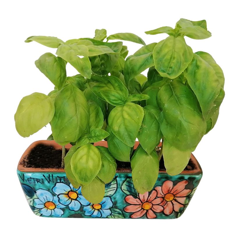 Mini rectangular planter. Little flowers....