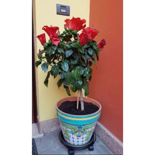 Jarrón cónico con fondo verde Ramine. Cerámica Vietri...