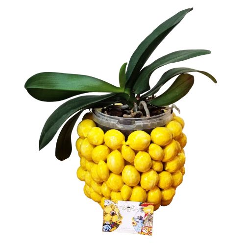 Vaso a rilievo in Ceramica finissima -Limoni Ceramica vietrese dipinta a mano