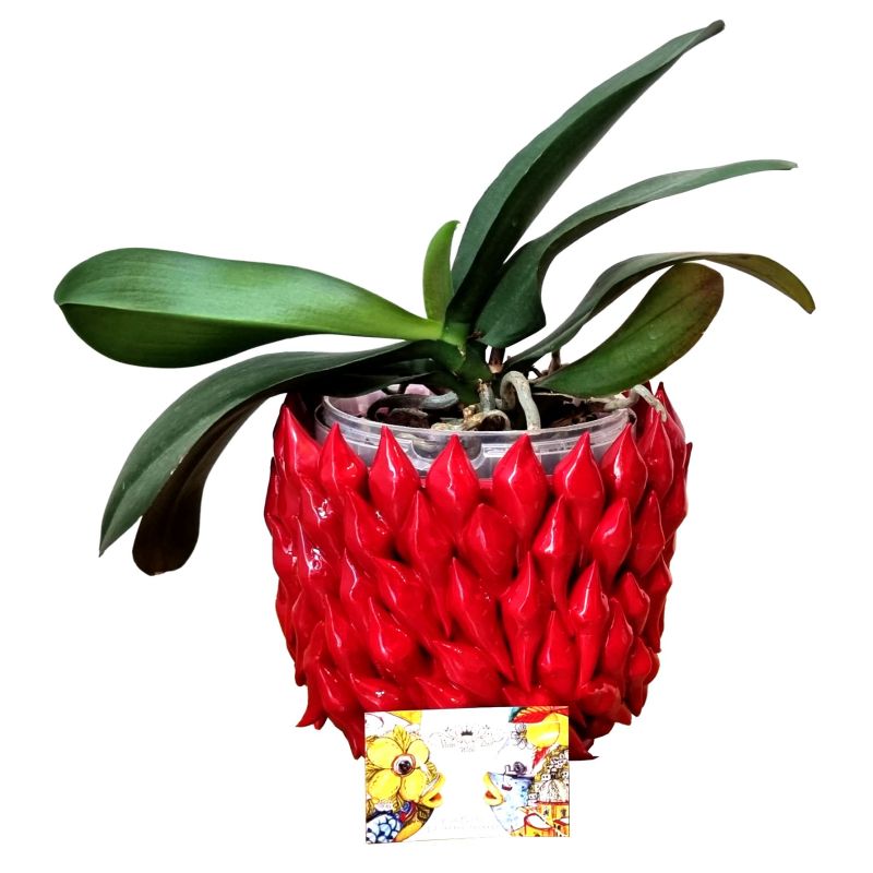 Jarrón en relieve en cerámica fina -Peperoncini...