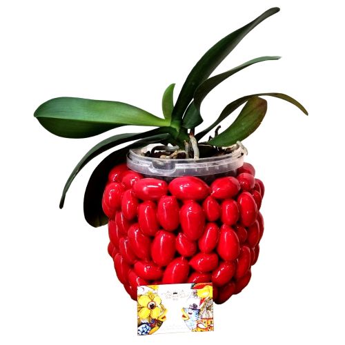 Vaso a rilievo in Ceramica finissima -Pomodori Ceramica vietrese dipinta a mano