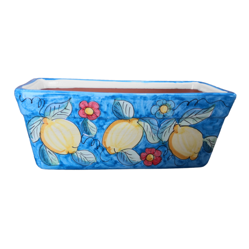 Jardinière rectangulaire. Fond bleu avec...