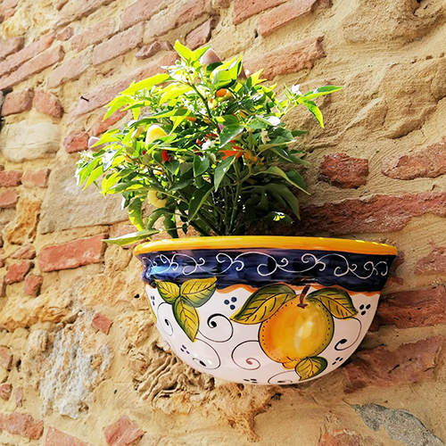 wall plant pot