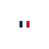 Carrelages - Revêtements - Sols - Carrelage - Riggiole - Majolique